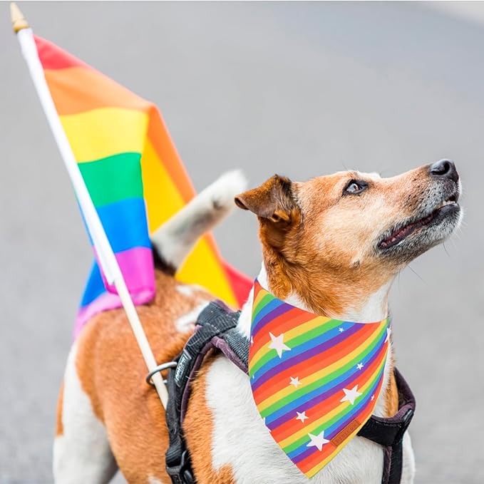 PTDECOR Rainbow Dog Bandanas Pride Day, Multi Size,“Love is Love” Pet Scarf Reversible Triangle LGBT+ Rainbow Bandanas for Medium Large Dogs Pets (Large)