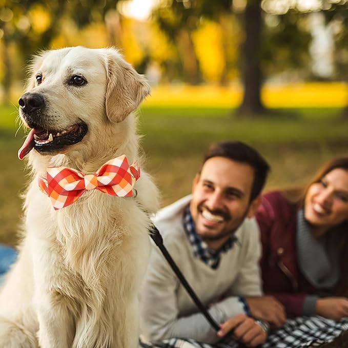 ARING PET Fall Dog Collar with Bow, Halloween Orange Grid Cute Pet Collars with Quick Release Buckle for Puppy Small Medium Large Girl Boy Dogs-S