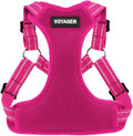Best Pet Supplies Voyager Adjustable Step-in Flex Breathable Mesh Dog Harness for Small Medium Large Dogs (Fuchsia), S