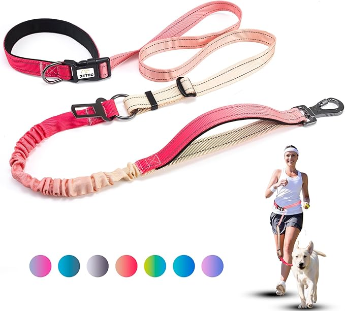 Heavy Duty Hands Free Dog Leash, 4-6 FT Reflective Adjustable Waist Dog Leash Belt with Padded Handles, Shock Absorbing Bungee and Car Seat Belt for Large Medium Dogs (Gradient Rose, L)