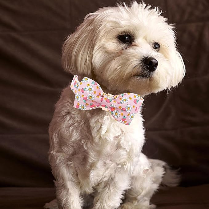 Lionheart glory Dog Collar Bow Collar Pink Dog Collar with Bow Tie Spring Summer Cute Collar Dog Female Soft Durable Adjustable Dog Collars for Medium Dogs Pet Gift