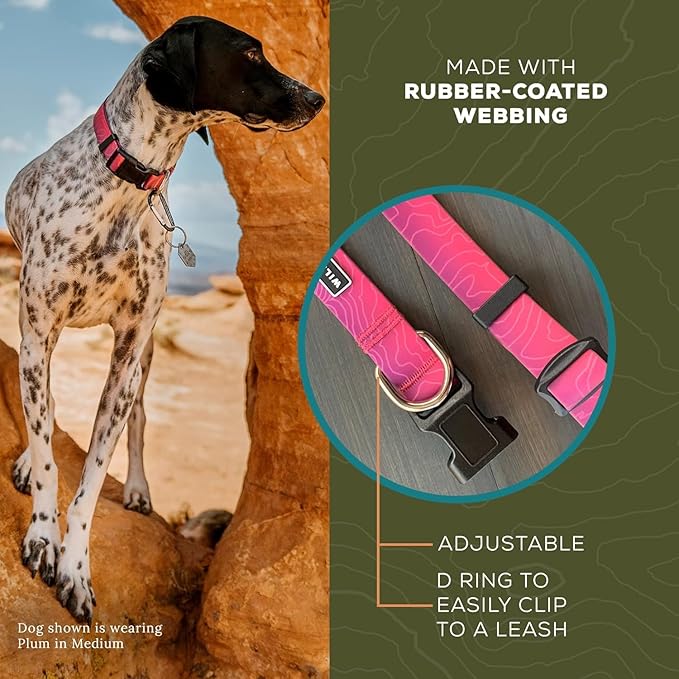 Wilderdog Waterproof Dog Collar - Repels Water & Dirt - Large 17"-24" - Plum