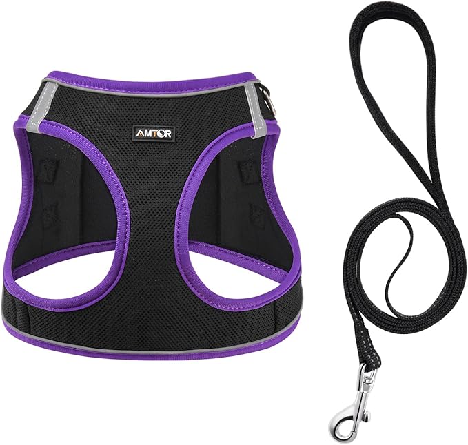 AMTOR Small Dog Harness with Leash Set, No Escape Easy Walk Puppy Harnesses for Training Walking, Step-in Reflective Soft Dogs Vest for XS S Medium Extra-Small Large Sized Dog(M,Black/Purple)