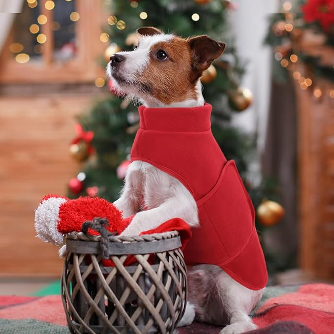 Queenmore Soft Fleece Dog Jacket, Warm Winter Dog Clothes with Leash Hole, Dachshund Sweater for Small Dogs Cats Boy or Girl (Red, XS)