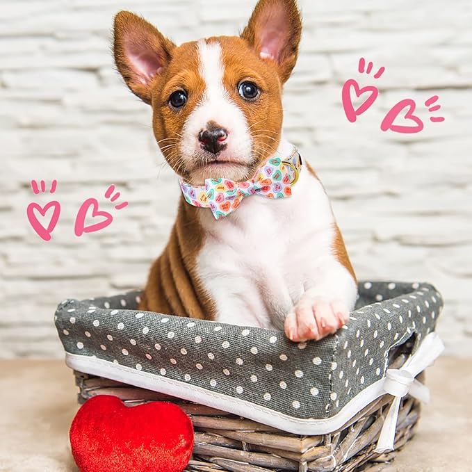ARING PET Valentine's Day Dog Collar with Bow, Cute Adjustable Heart Bowtie Pet Collars with Metal Buckle for Puppy Small Medium Large Boy Girl Dogs-S