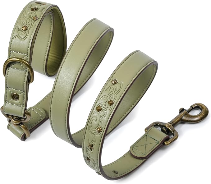 Blueberry Pet Premium Embossed Sage Green Glam Microfiber Leather Dog Leash with Antique Brass Studs