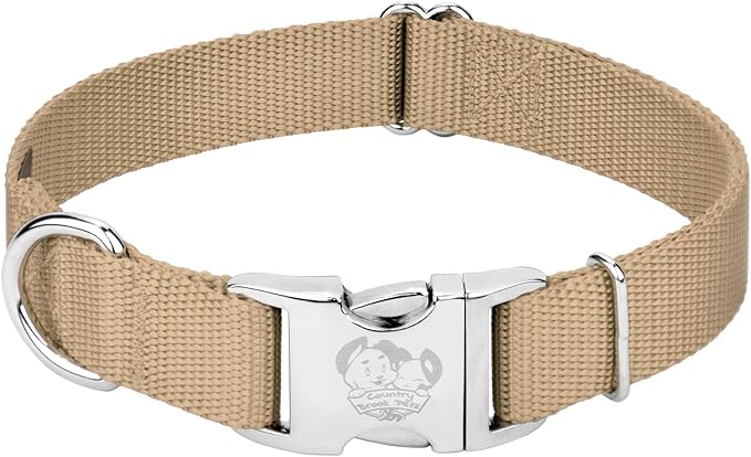 Country Brook Petz - Premium Nylon Dog Collar with Metal Buckle for Small Medium Large Breeds - 10+ Warm Colors (Large, 1 Inch, Copper Gold)