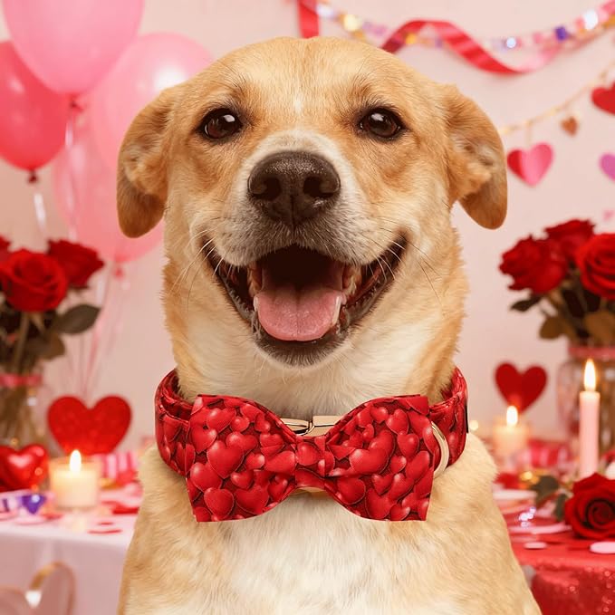 Lionheart glory Dog Bow Collar - Valentine's Day Dog Collar with Bowtie Red Hearts Print Collars Soft Adjustable for Small Dogs Puppy Male Female Dogs Spring Cute Collars