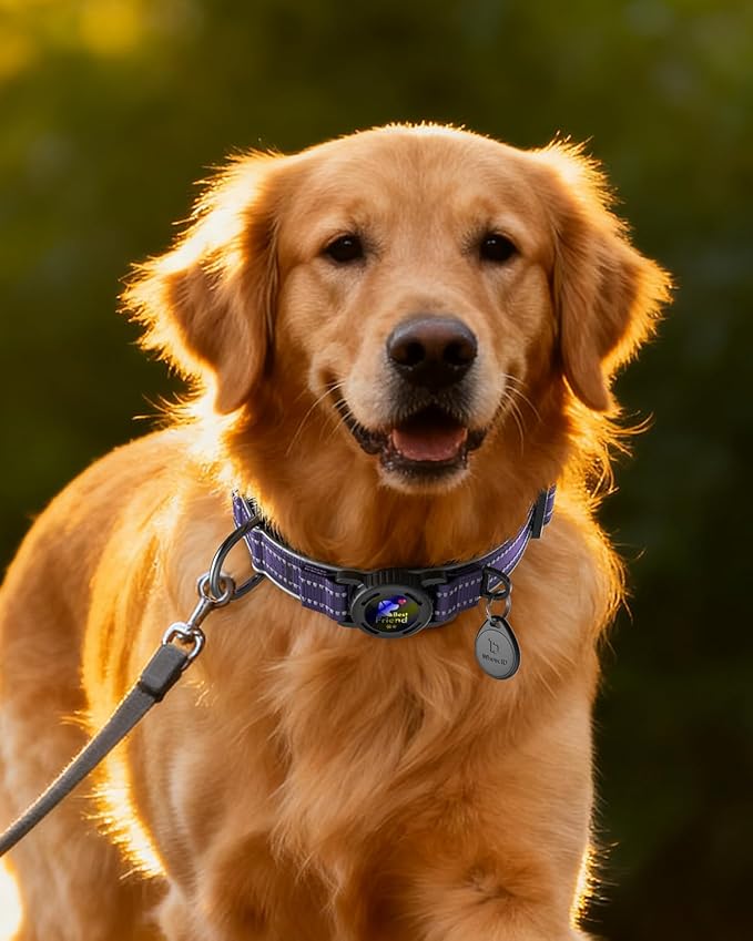 Upgrade Airtag Dog Collar,with IPX8 Waterproof AirTag Holder | Reflective Ultra-Durable | Soft Padded | Lock Buckle | Heavy Duty | Fit Small Medium Large Dogs（Purple，L(17"～23")）