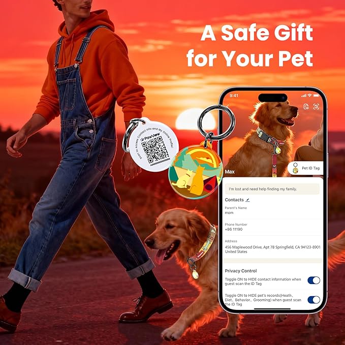 Dog Collar and Leash Set, QR Tag Adjustable Pet Collar, 5 FT Heavy Duty Dog Leash, Padded Handle, Quick Release Buckle, Metal Ring, 360° Swivel Clip for Medium Dogs Walking Running (Red, M)