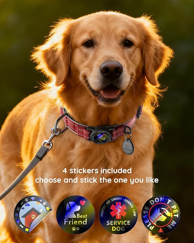 Upgrade Airtag Dog Collar,with IPX8 Waterproof AirTag Holder | Reflective Ultra-Durable | Soft Padded | Lock Buckle | Heavy Duty | Fit Small Medium Large Dogs（Purple，XL(19"～27")）