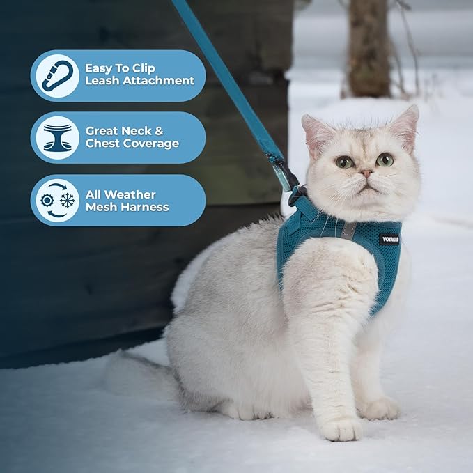 Voyager Step-in Pet Harness - All Weather Mesh, Adjustable Step in Harness for Cats and Dogs by Best Pet Supplies - 307S Turquoise, XS