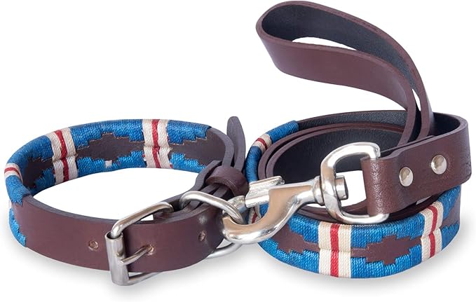 Gaucho Goods Soft Leather Dog Collar - The Pacific (L)