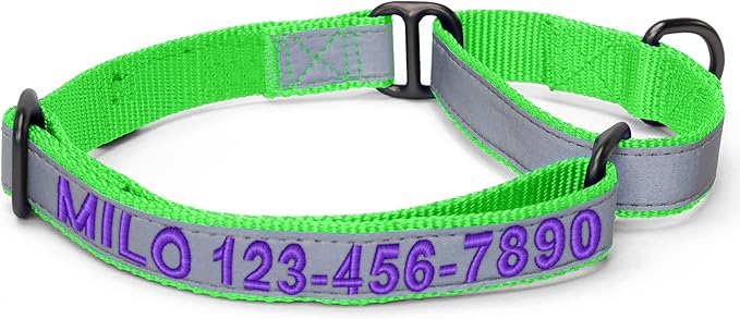 Pawtitas Customized Martingale Dog Collar Reflective Reflective Dog Collar Embroidered Personalized Name Phone Number Adjustable for Puppies Small Medium Large Size Dogs Large Green