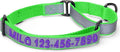 Pawtitas Customized Martingale Dog Collar Reflective Reflective Dog Collar Embroidered Personalized Name Phone Number Adjustable for Puppies Small Medium Large Size Dogs Large Green