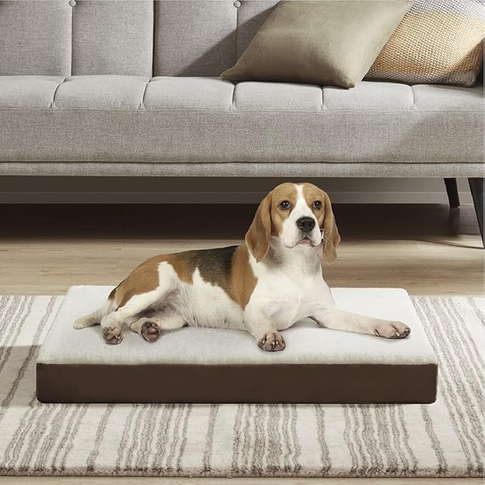 Friends Forever Orthopedic Dog Bed, Cooling Dog Beds with Removable Washable Cover, Reversible Pet Bed Mat with Memory Foam, Washable Removable Cover, Kato Khaki, 30x20x3 (Pack of 2)