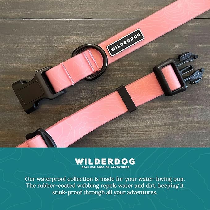 Wilderdog Waterproof Dog Collar - Repels Water & Dirt - Large 17"-24" - Guava