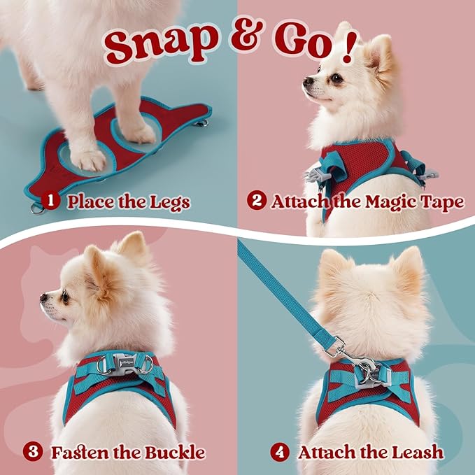 rabbitgoo Dog Harness Small Sized and Leash Set, Step-in Breathable Pet Harness, Soft Walking Reflective Puppy Vest for Small Dogs, Red & Teal, XS