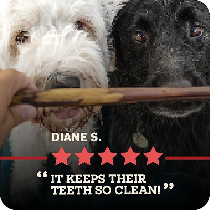 Redbarn Pet Products Straight 5" Bully Sticks - Long Lasting Dog Chew, All Natural Bully Bones (50-Count)