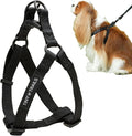 Step-in Dog Harness for Medium Sized Breeds – Adjustable No-Pull Soft Vest, Secure, Lightweight & Comfortable Premium Nylon, Black (Medium – 18"-26" Chest Girth)
