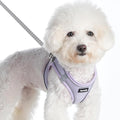 Sparkly Dog Harness Small Sized and Leash Set for Small Dogs Cats,Purple XS Puppy Harness, Step in Soft Dog Reflective Vest, Breathable Mesh Pet Harness. (Purple, XS)
