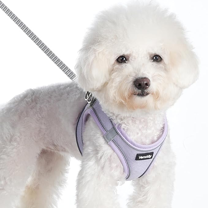 Sparkly Dog Harness Small Sized and Leash Set for Small Dogs Cats,Purple XS Puppy Harness, Step in Soft Dog Reflective Vest, Breathable Mesh Pet Harness. (Purple, XS)
