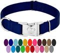 Country Brook Petz - Premium Nylon Dog Collar with Metal Buckle for Small Medium Large Breeds - 10+ Cool Colors (Medium, 3/4 Inch, Royal Blue)