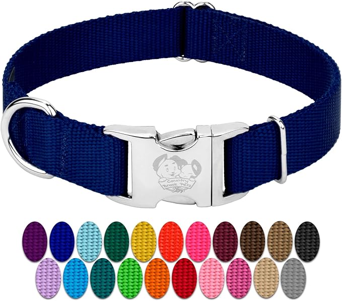 Country Brook Petz - Premium Nylon Dog Collar with Metal Buckle for Small Medium Large Breeds - 10+ Cool Colors (Extra Large, 1 Inch, Royal Blue)