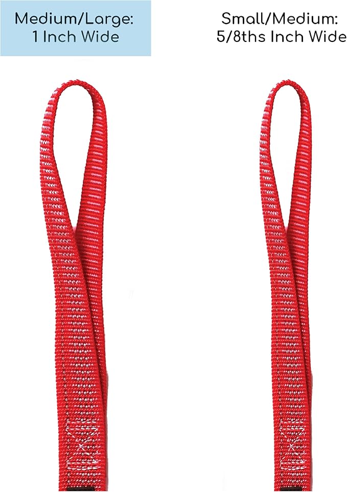 Blue-9 Reflective Dog Leash, Multi-Function 6 Foot Adjustable Lead with Traffic Loop and 3M Reflective Stitching for Obedience, Running, and Agility Training, Made in The USA, Medium/Large, Red