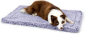 Stoutwool Indestructible Dog Bed - Fluffy Chew Proof Dog Crate Pad - Tough Kennel Pad for Aggressive Chewers - Washable, Ideal for Large Breeds & Fits 36-Inch Crate - 35"x22", Jacaranda