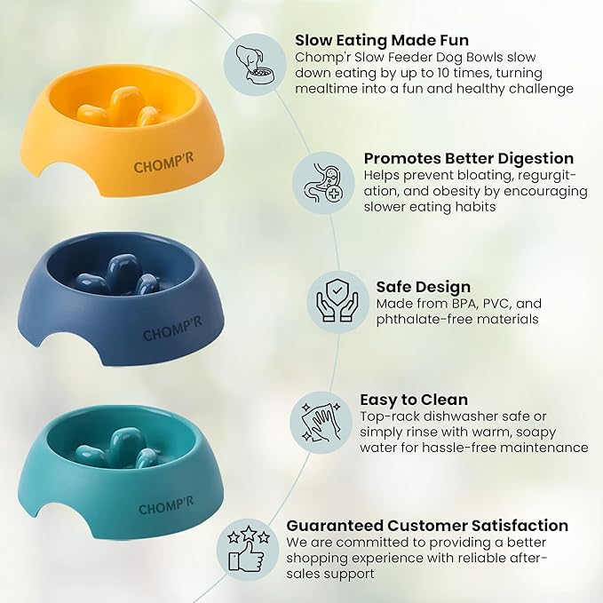 CHOMP'R Slow Feeder Dog Bowl for Small Breeds, Food Grade Interactive Puzzle Feeder, Non Slip Bowl to Slow Down Eating, Anti-Choking Mini Maze for Small Dogs Cats Puppies