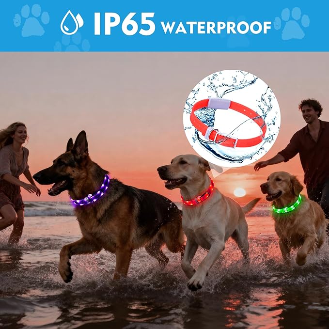 Lighted Dog Collar, Rechargeable Light Up Pet Collar, Waterproof LED Dog Collar Glow in The Dark, Make Pet Visible and Safety for Night Walking for Small Medium Large Dogs (Green)