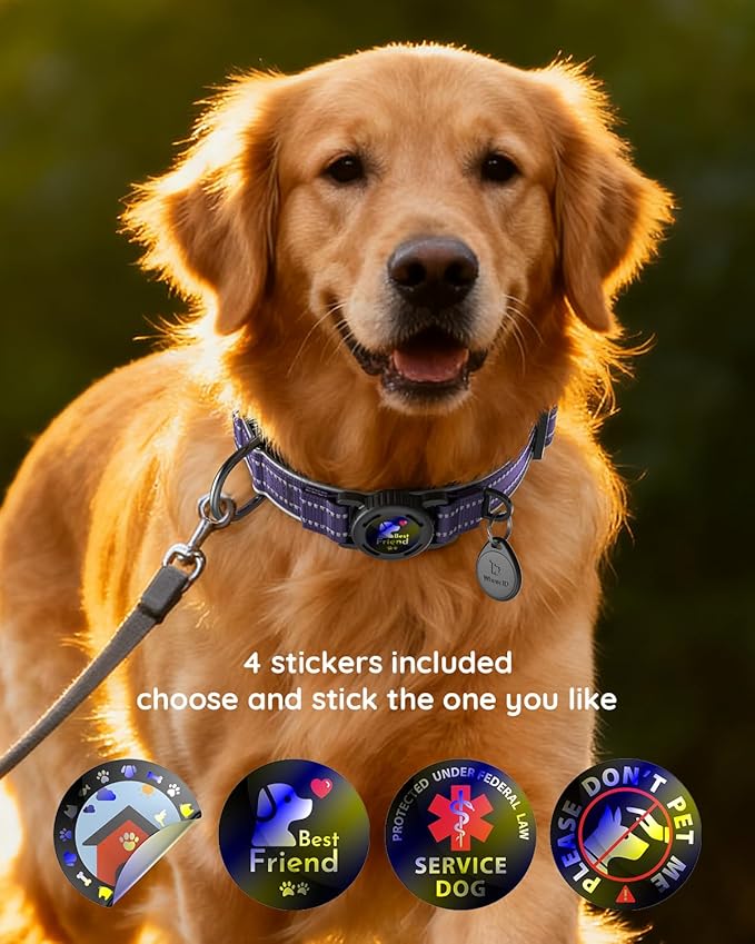 Upgrade Airtag Dog Collar,with IPX8 Waterproof AirTag Holder | Reflective Ultra-Durable | Soft Padded | Lock Buckle | Heavy Duty | Fit Small Medium Large Dogs（Purple，S(12"～15")）