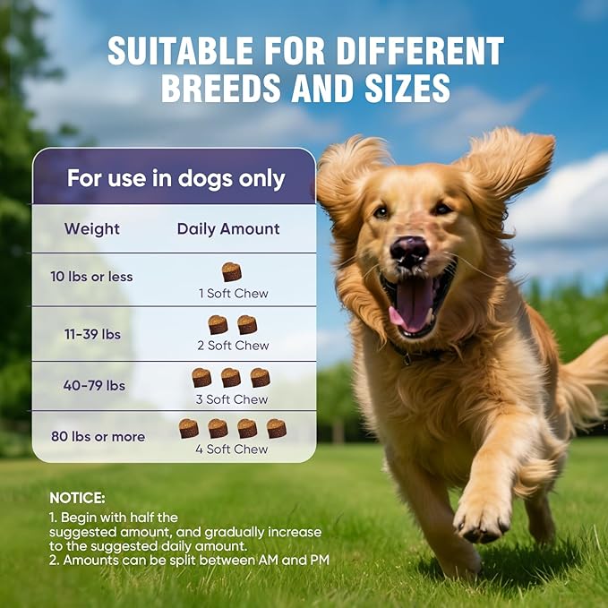 Glucosamine for Dogs 200pcs Joint Support Supplement Dog Hip and Joint Chondroitin Chews Treats with MSM Hemp Dog Joint Pain Relief Mobility Supplements Duck Flavor Fit All Large Small Medium Breed