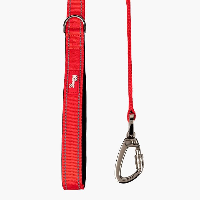 DF Co. Close Control Short Trainer Dog Leash | Strain Free & Shock Resistant, Durable Material, 65cm in Length, Heavy Duty Clips & D-Ring (Red, Small)