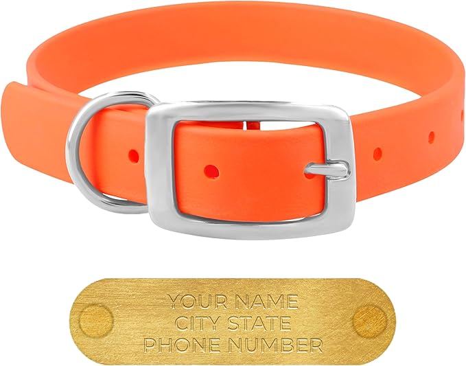 Regal Dog Products Small Orange Waterproof Dog Collars with Custom Engraved Name Plate | Vinyl Coated, Anti, Easy to Clean Personalized Biothane Dog Collar - Other Sizes for Medium & Large Dogs