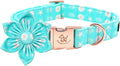 Elegant Little Tail Girl Dog Collar with Flower for Small, Medium, Large Dogs - Summer Flower Collar