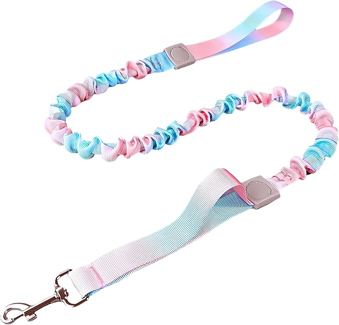 Dual Handles Bungee Dog Leash, Ombré Color Shock-Absorbing Dog Leash with 360° Swivel Clasp, for Small to Medium Dogs (4 – 5.5 ft) (Pink-Blue Ombré)