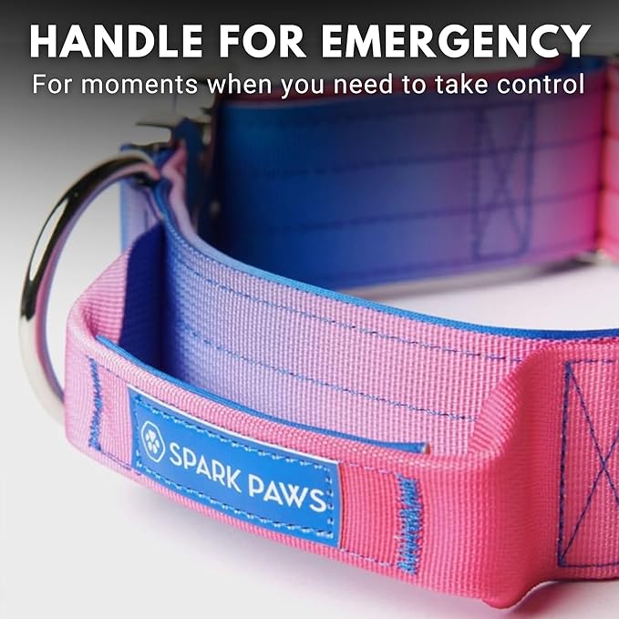 Tactical Dog Collar with Handle - Premium Quality Collar, Robust and Durable Design for Large, Strong Breeds - Pitbulls, Labradors, GSD - Snow Cone - M