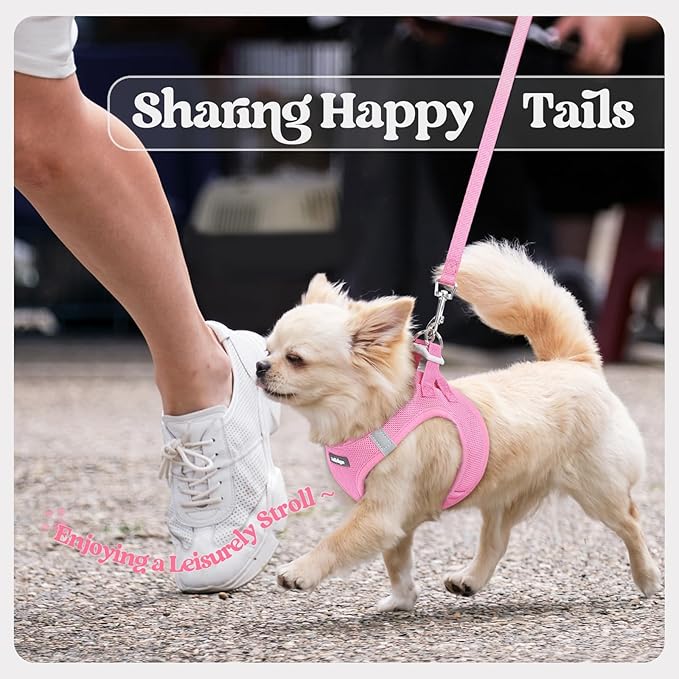 rabbitgoo Dog Harness Small Sized and Leash Set, Step in Soft Light Puppy Vest, Breathable Mesh Pet Harness, Reflective for Safe Easy Walking, Light Pink XXXS