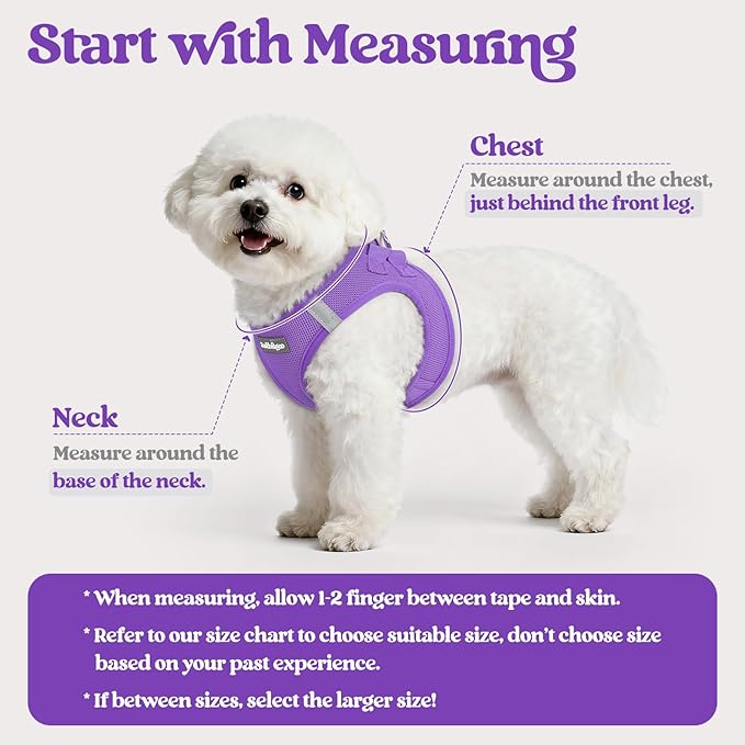 rabbitgoo Dog Harness Small Sized and Leash Set, Step in Soft Light Puppy Vest, Breathable Mesh Pet Harness, Reflective for Safe Outdoor Walking, Purple M