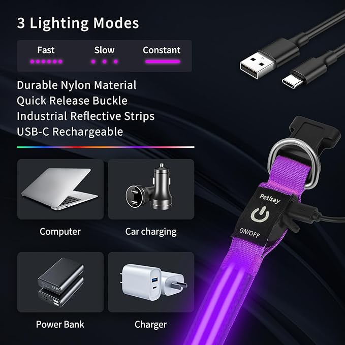 PetIsay Dog Light up Collar for Night Walking - High Visibility LED Dog Collar - Rechargeable - Waterproof - Reflective - Adjustable Lighted Glow Collars(Purple,Medium)