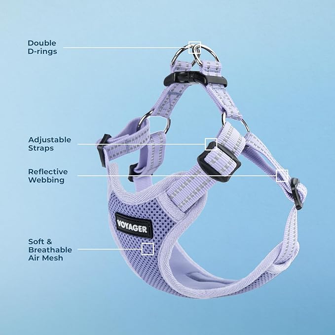 Best Pet Supplies Voyager Adjustable Step-in Flex Breathable Mesh Dog Harness for Small Medium Large Dogs (Lavender), XL
