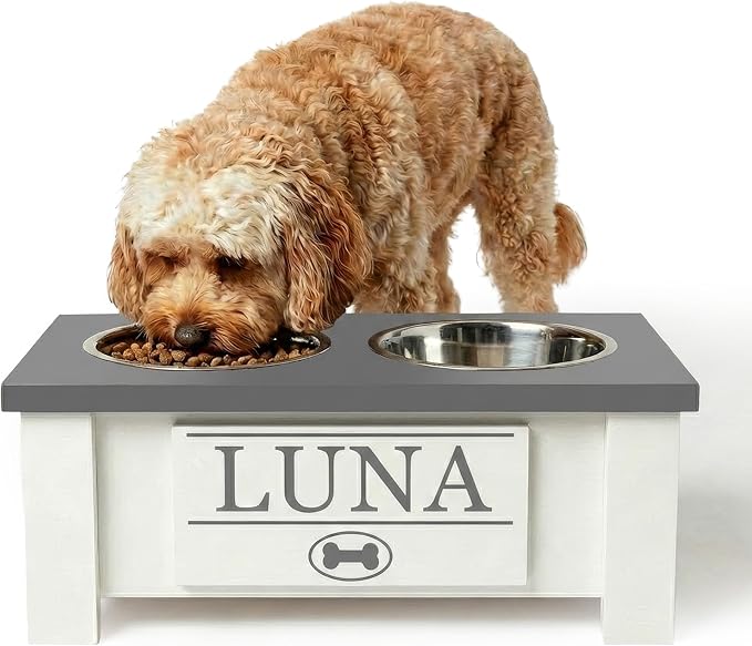 GTW Personalized Elevated Dog Bowl Stand for Large, Medium, Small, X-Small Dogs - Stainless Steel Food and Water Bowls - Raised Dog Dish (Small, Grey)