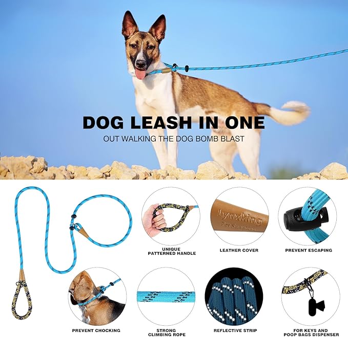 lynxking Slip Lead Dog Leash Reflective, Heavy Duty Comfortable Strong Rope for Large Medium Small Dogs No Pull Pet Training (Light Blue, Small 3/8in x 6ft-Slip Lead)