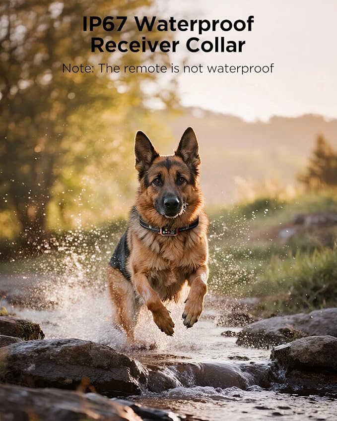 BLACKDOG Military Dog Shock Collar 2 Dogs (5-150lbs) - 4200ft Dog Training Collar with Remote, 4 Training Modes, Flashlight&Strobe, 90-day Battery, IP67 Waterproof Dog E Collar for All Breeds (Orange)