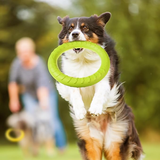 Jenaai 4 Pack Dog Ring Toy Dog Training Chew Toy for Outdoor Aggressive Durable Pet Chewers Fetch Floating Toys Flying Disc Puppy Ring for Large Medium Puppy Training and Teeth Cleaning(11.81 Inch)