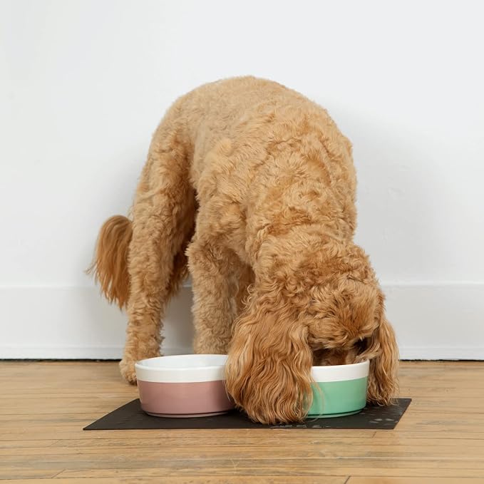Waggo Dipper Ceramic Dog Bowl for Small and Large Breeds - Heavyweight and Durable Pet Food and Water Dish Crock, Dishwasher Safe, Modern (Mint, Small)