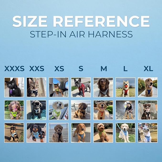 Best Pet Supplies Voyager Step-in Air Harness - All Weather Mesh, Reflective, No Pull Harness for Dogs, Cats - Secure with Hook & Loop Fastener, Buckle, Double D-Rings - Baby Blue, XXXS