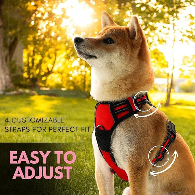 Ziggy Pet Dog Harness Adjustable Nylon Mesh Vest with Leash Clips (Red, Small)